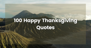 100 Happy Thanksgiving Quotes to Celebrate the Spirit of Gratitude